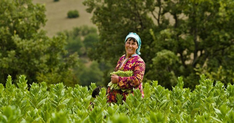 Diving into the Strumica River (data) Basin (United Nations Development Programme in Europe and CIS UNDP in Europe and Central Asia)